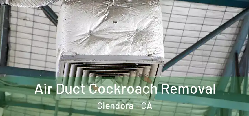  Air Duct Cockroach Removal Glendora - CA