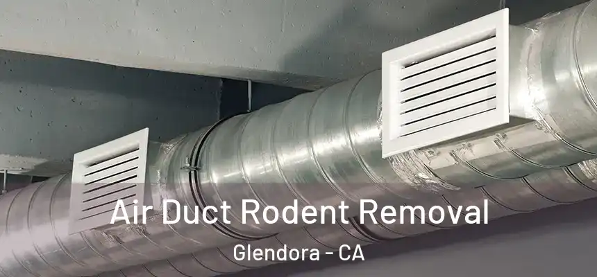  Air Duct Rodent Removal Glendora - CA