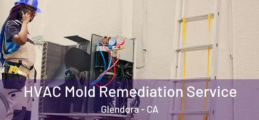  HVAC Mold Remediation Service Glendora - CA