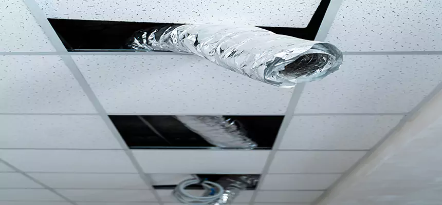 Affordable HVAC Sanitizing After Pest Removal in Glendora