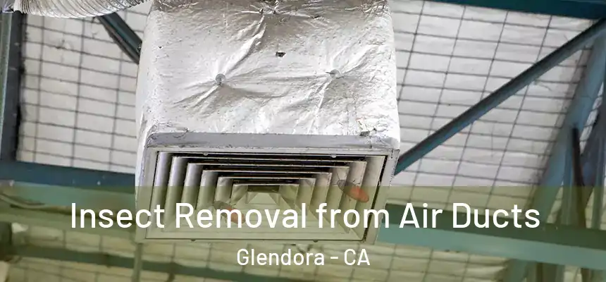 Insect Removal from Air Ducts Glendora - CA