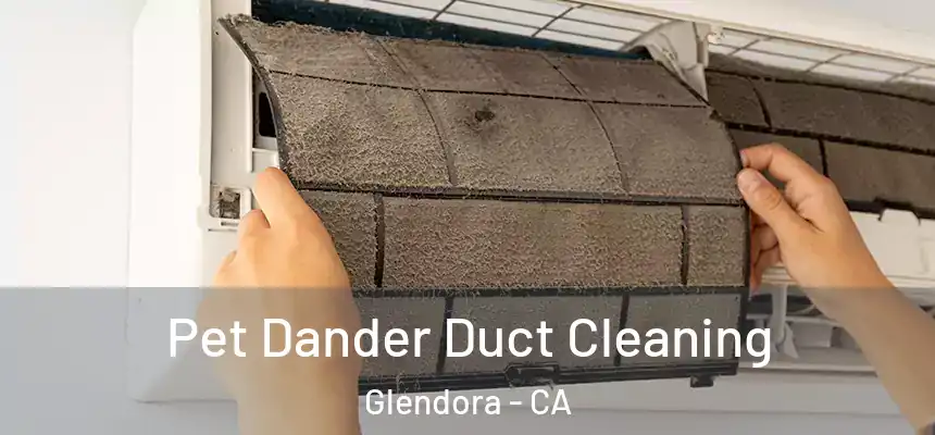 Pet Dander Duct Cleaning Glendora - CA