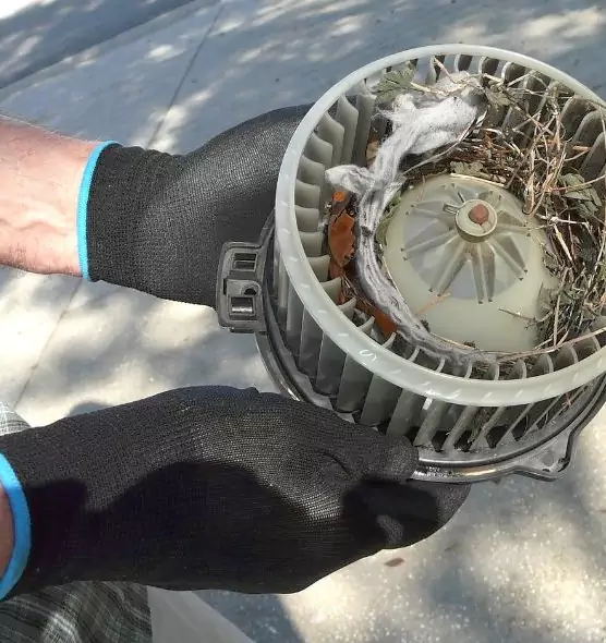 About Air Duct Mice Removal in Glendora, CA