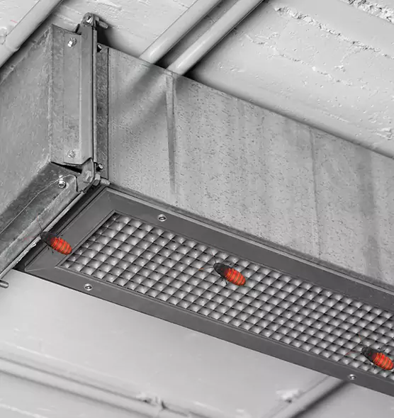 Affordable Insect Removal from Air Ducts in Glendora, CA