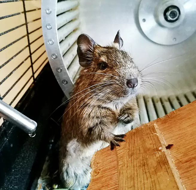 Why Homeowners & Businesses Trust Us Glendora, CA?